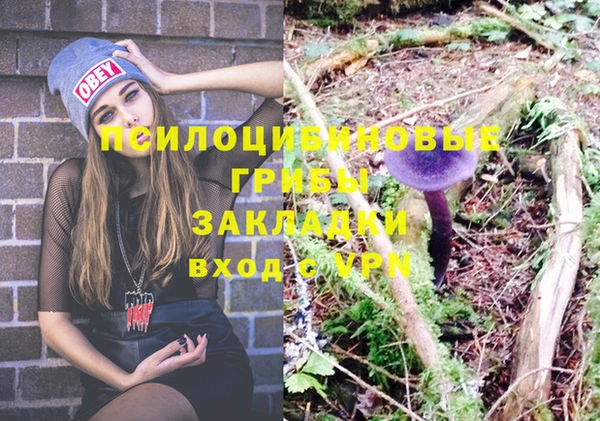 ALPHA PVP Армянск