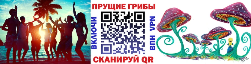Псилоцибиновые грибы Psilocybe  mega ONION  Катайск 